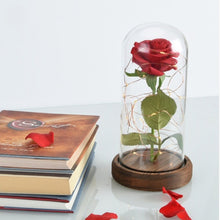 Load image into Gallery viewer, artificial flower Beauty Beast Red Rose